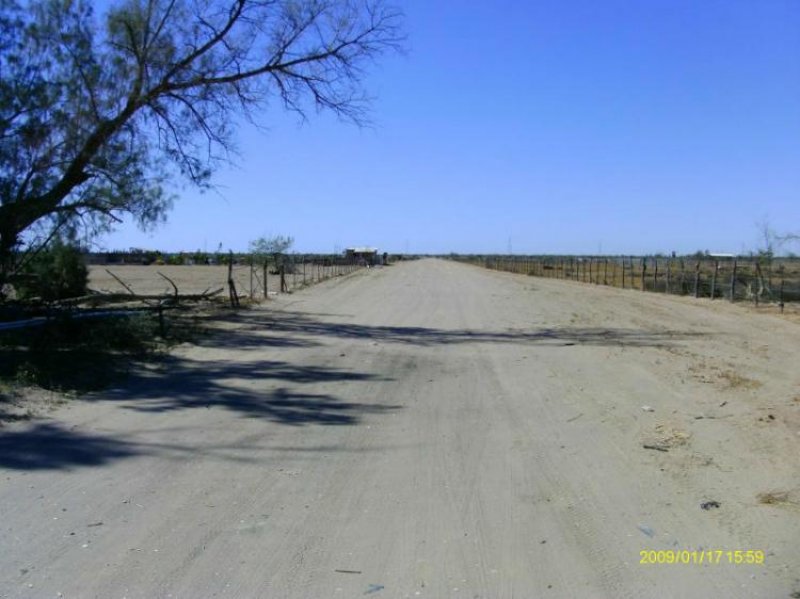 Terreno en Venta en CAMPESTRE LOS REALES Ciudad Constitución, Baja California Sur