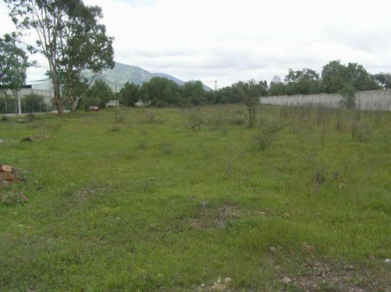 Foto Terreno en Venta en BERNAL, Ezequiel Montes, Queretaro Arteaga - $ 650.000 - TEV47791 - BienesOnLine