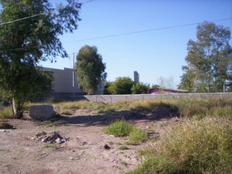 Foto Terreno en Venta en Juarez, Navojoa, Sonora - $ 345.000 - TEV56567 - BienesOnLine