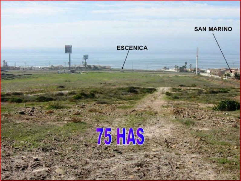 Foto Terreno en Venta en Tijuana, Baja California - U$D 41.250.000 - TEV47645 - BienesOnLine