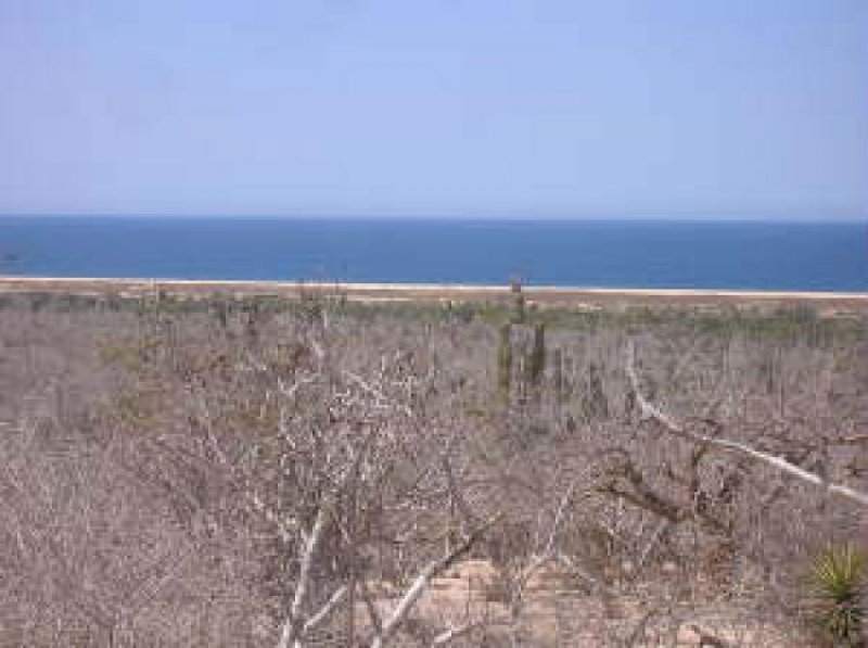 Foto Terreno en Venta en Las Playitas, Todos Santos, Baja California Sur - U$D 18.000 - TEV54641 - BienesOnLine