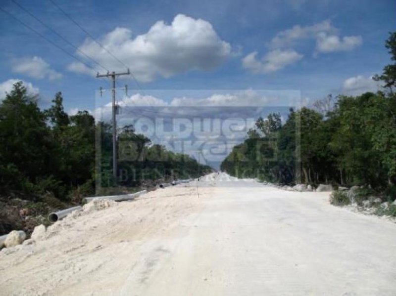 Foto Terreno en Venta en Tulum, Quintana Roo - 1 hectareas - $ 2.000.000 - TEV46857 - BienesOnLine