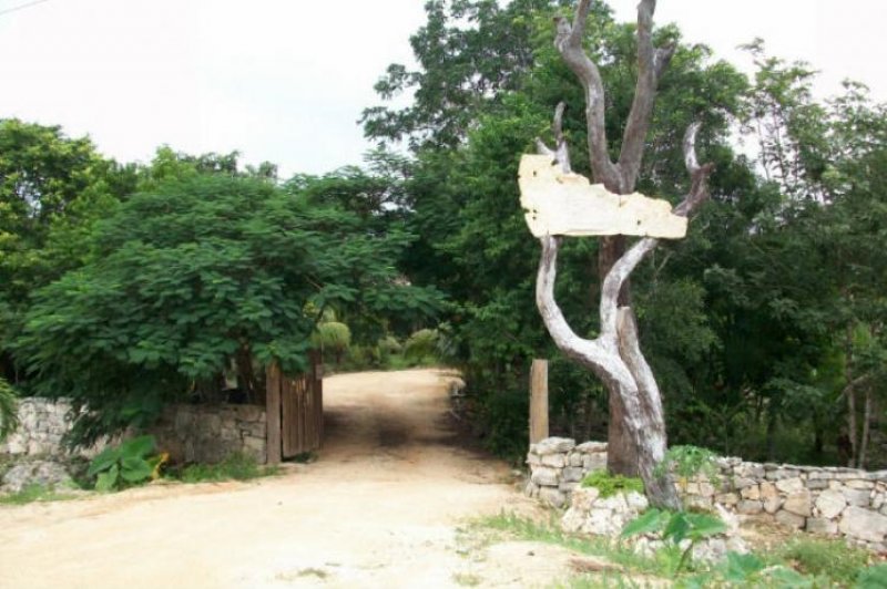 Foto Terreno en Venta en Tulum, Quintana Roo - 1 hectareas - U$D 42.000 - TEV47493 - BienesOnLine