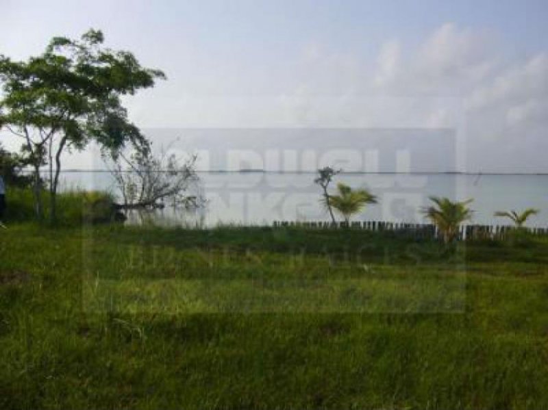 Foto Terreno en Venta en Tulum, Quintana Roo - $ 650.000 - TEV51103 - BienesOnLine