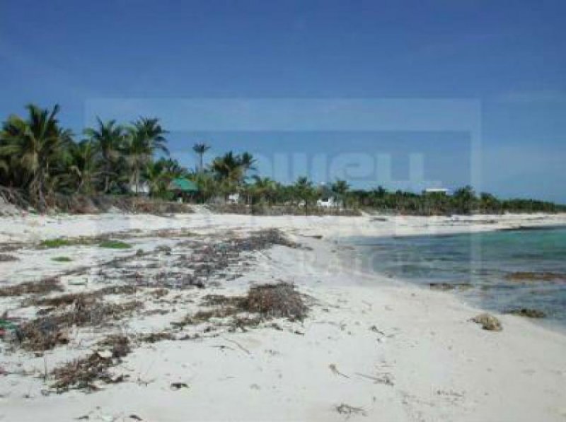 Foto Terreno en Venta en Tulum, Quintana Roo - U$D 1.350.000 - TEV54007 - BienesOnLine