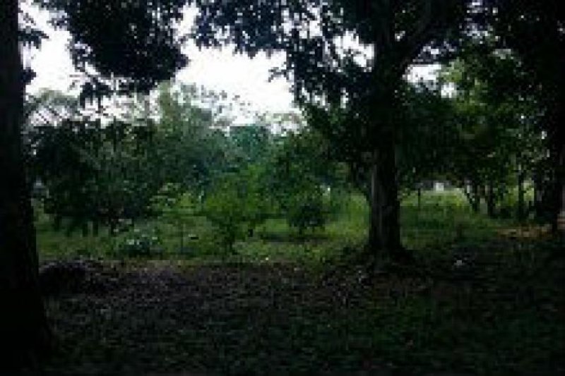 Foto Terreno en Venta en Estanzuela, Villahermosa, Tabasco - $ 380.000 - TEV62355 - BienesOnLine