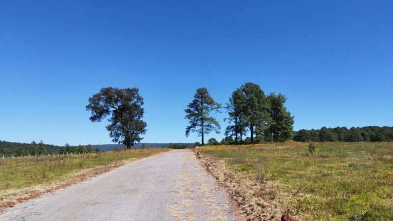 Foto Terreno en Venta en Rincon del Cielo, Tapalpa, Jalisco - $ 1.200 - TEV350450 - BienesOnLine