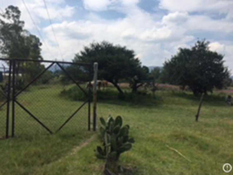 Foto Terreno en Venta en Tepeji del Rio, Tepeji del Río de Ocampo, Hidalgo - $ 1.500 - TEV229888 - BienesOnLine