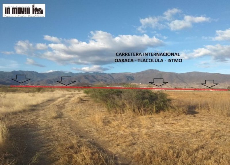 Foto Terreno en Venta en Tlacolula de Matamoros, Oaxaca - 1 hectareas - $ 5.500.000 - TEV295956 - BienesOnLine