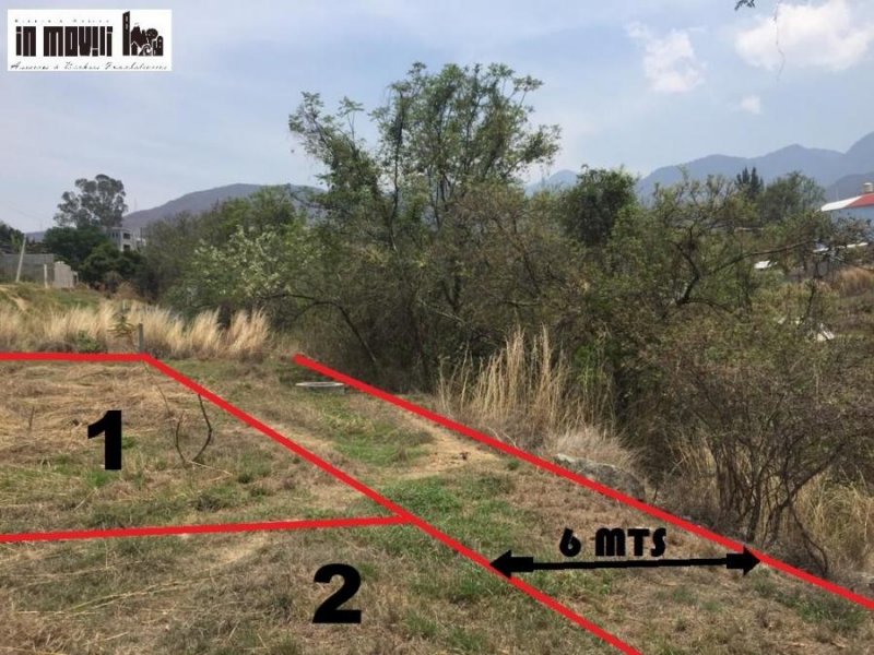 Foto Terreno en Venta en San Andrés Huayápam, Oaxaca - $ 1.300.000 - TEV326923 - BienesOnLine