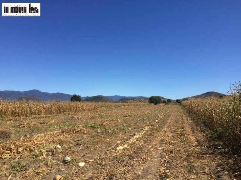 Terreno en Venta en  Tlacolula de Matamoros, Oaxaca