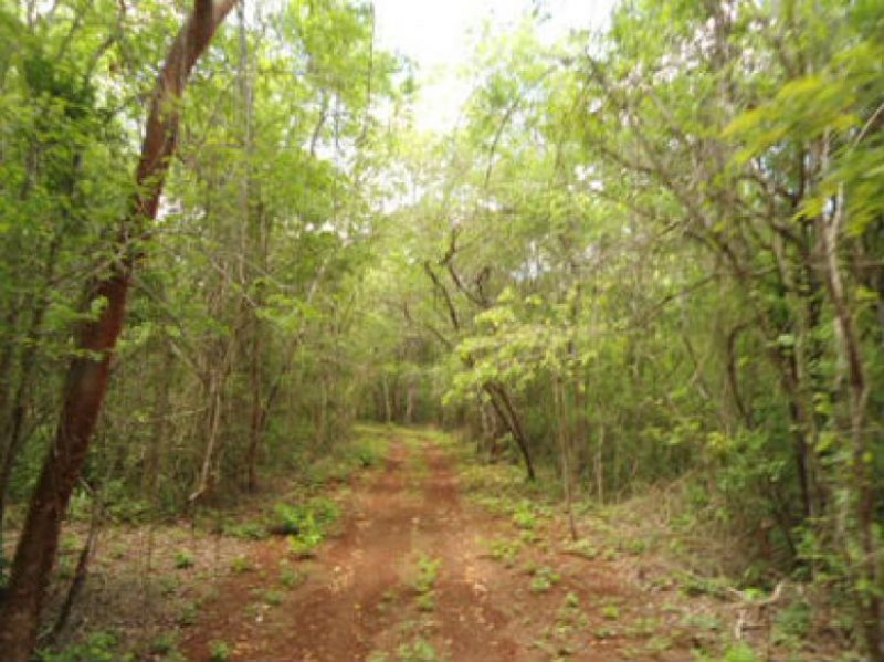 Terreno en Venta en  Hopelchén, Campeche