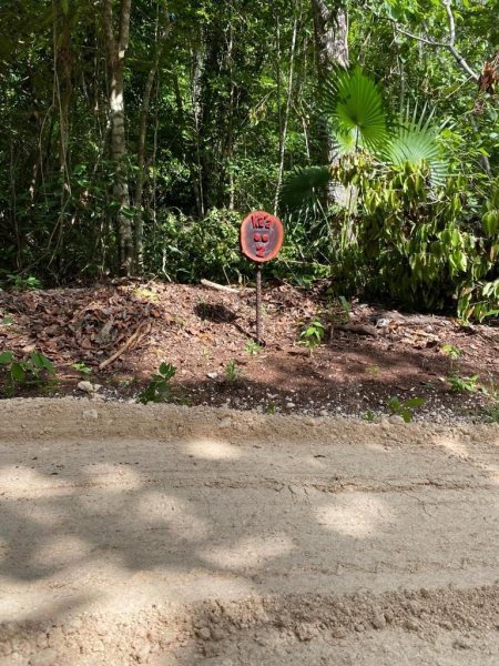 Terreno en Venta en PTO MORELOS-LEONA VICARIO RUTA DE LOS CENOTES, Quintana Roo