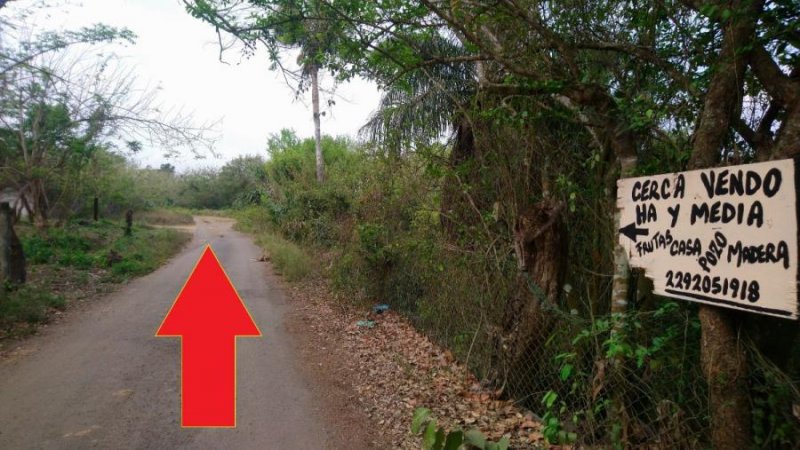 Foto Terreno en Venta en Paso del Toro, Veracruz - $ 330 - TEV277000 - BienesOnLine