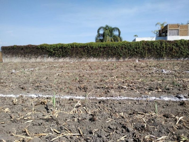 Terreno en Venta en Tabachines Yautepec de Zaragoza, Morelos