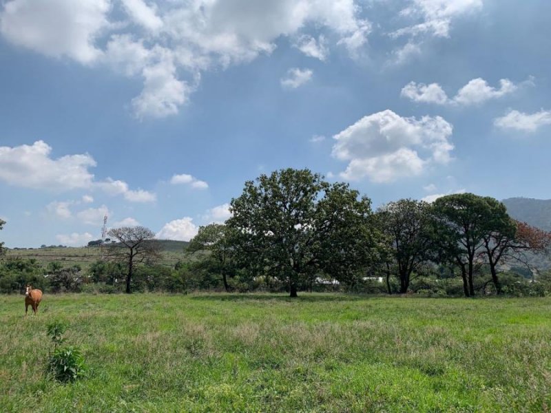 Terreno en Venta en Tres Rios Zapopan, Jalisco