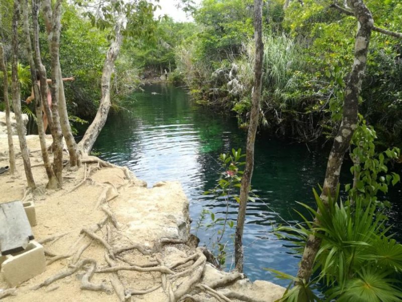 Terreno en Venta en CENOTE ESCOCNDIDO REGION 12, Quintana Roo