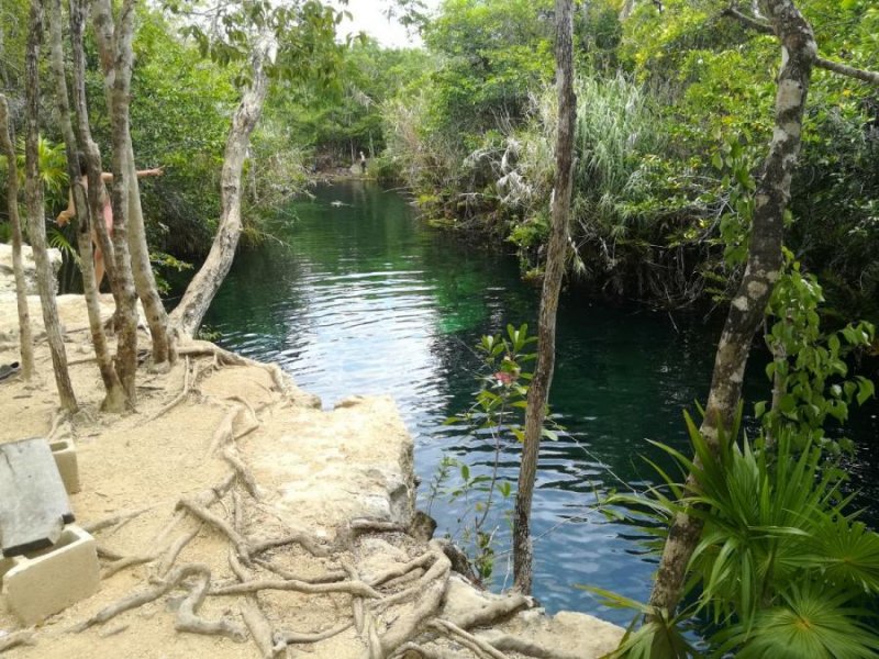 Terreno en Venta en Region 12 Tulum, Quintana Roo