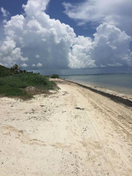 Foto Terreno en Venta en Puerto Morelos, Quintana Roo - U$D 9.000.000 - TEV173921 - BienesOnLine