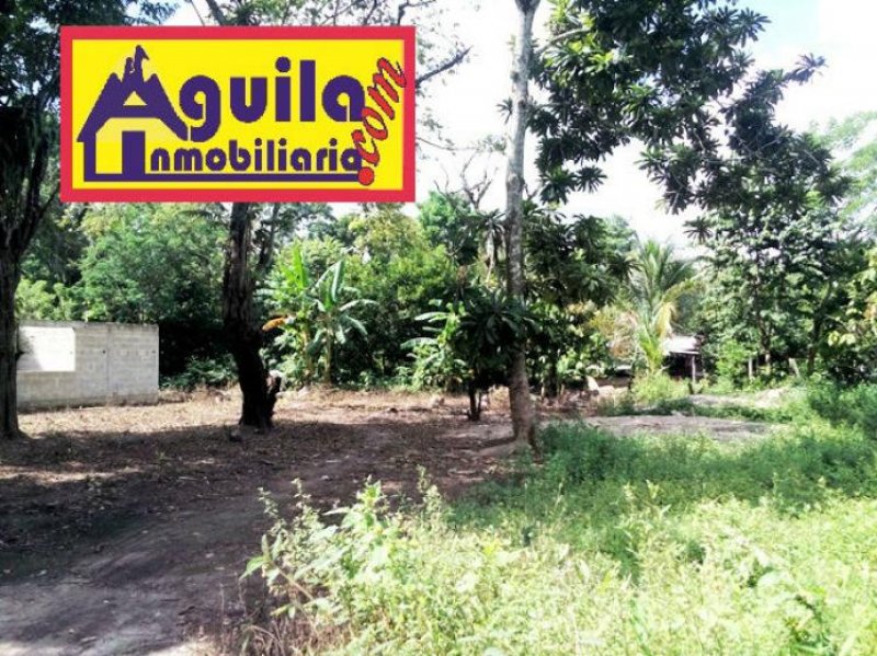 Foto Terreno en Venta en R/a Gregorio Méndez 1ra Secc., Comalcalco, Tabasco - $ 60.000 - TEV187702 - BienesOnLine