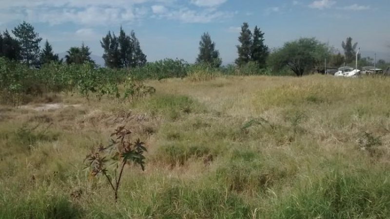 Foto Terreno en Venta en Salvatierra, Guanajuato - $ 3.500.000 - TEV126127 - BienesOnLine