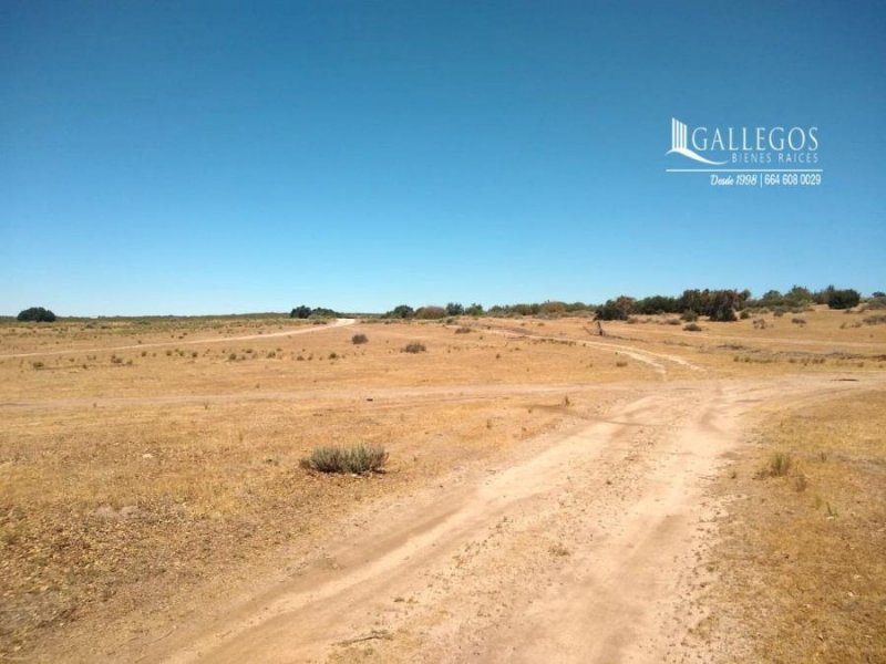 Terreno en Venta en delegacion de la rumorosa Tecate, Baja California