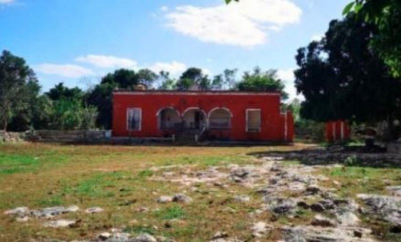 Foto Casa en Venta en Cuzamá, Yucatan - $ 700.000 - CAV315710 - BienesOnLine