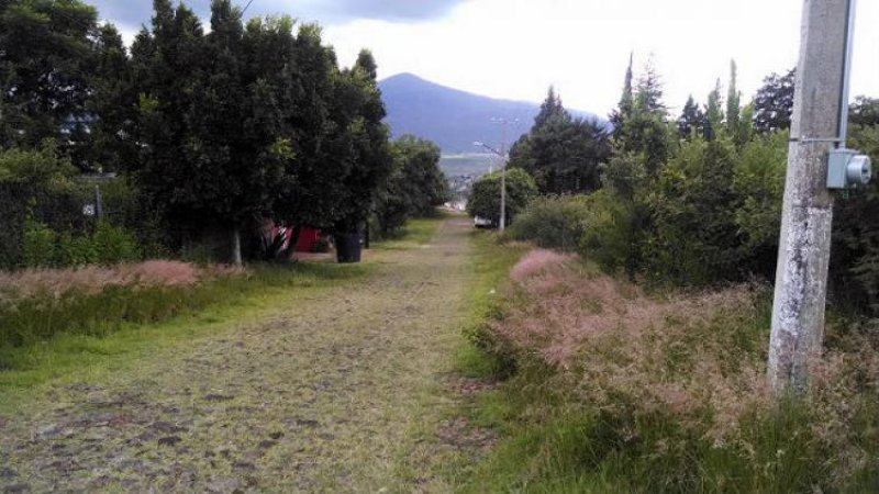 Foto Terreno en Venta en Morelia, Michoacan de Ocampo - TEV104370 - BienesOnLine