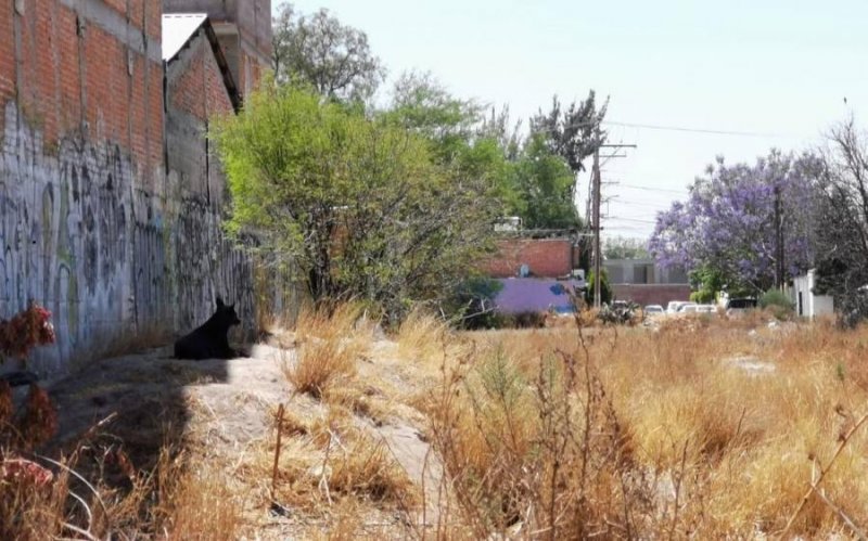 Terreno en Venta en Villa Guerrero Guadalajara, Jalisco