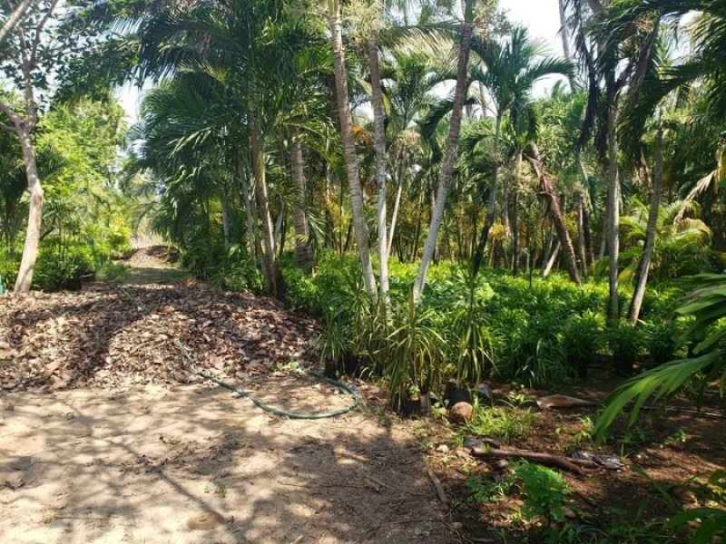 Foto Terreno en Venta en BARRA VIEJA, Acapulco de Juárez, Guerrero - 10 hectareas - $ 42.250.000 - TEV302090 - BienesOnLine