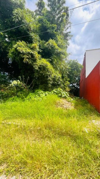 Terreno en Venta en  Fortín de las Flores, Veracruz