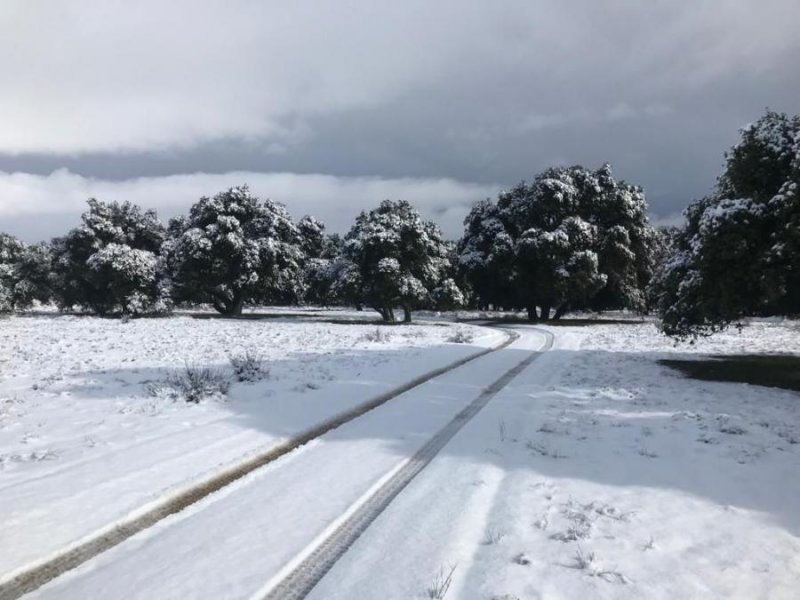 Terreno en Venta en  Colonia Luis Echeverría, Baja California