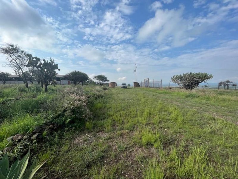 Terreno en Venta en comunidad tierras de paz san miguel de allende, guanajuato, Guanajuato