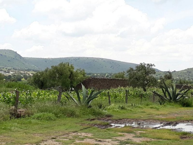 Finca en Venta en Zempoala, Centro Zempoala, Hidalgo