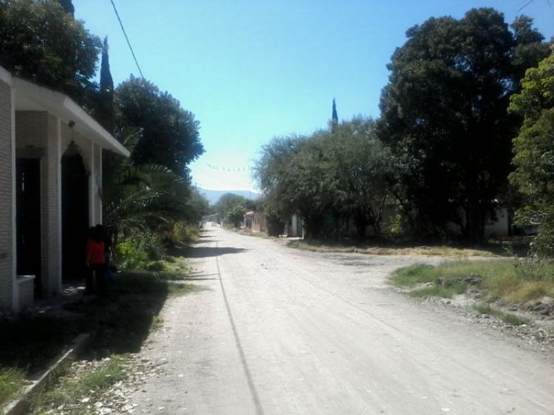 Foto Rancho en Venta en Tepanco de López, Puebla - RAV111233 - BienesOnLine