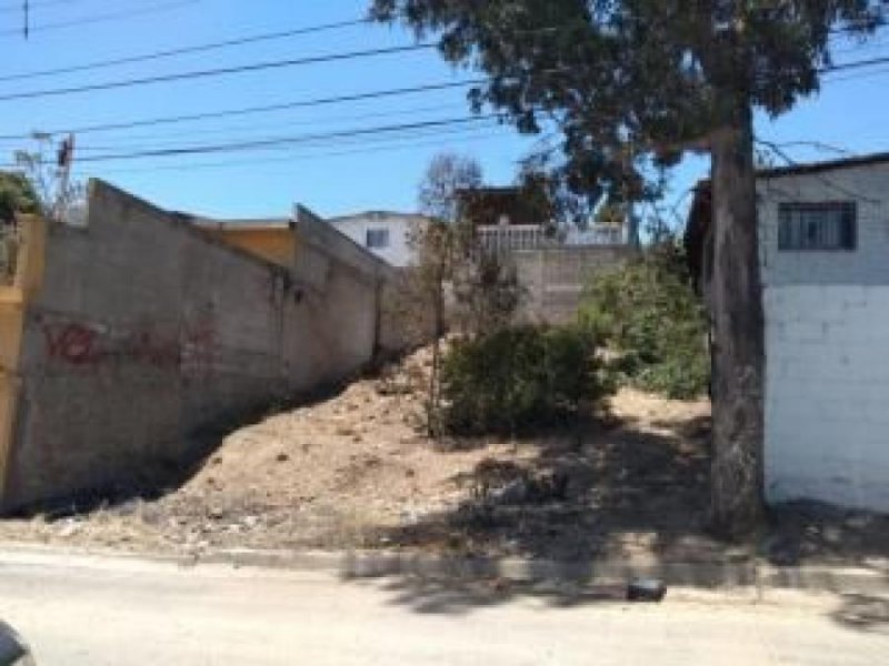 Foto Terreno en Venta en Tamarindo, Acayucan, Veracruz - $ 216.000 - TEV285448 - BienesOnLine