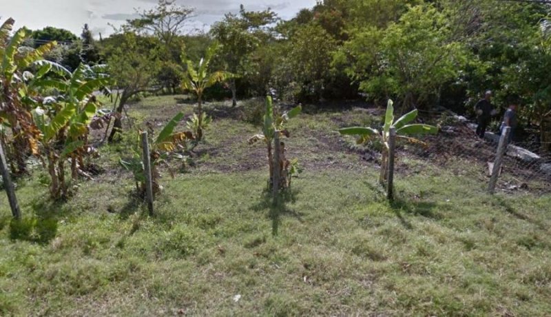 Terreno en Venta en  Alvarado, Veracruz