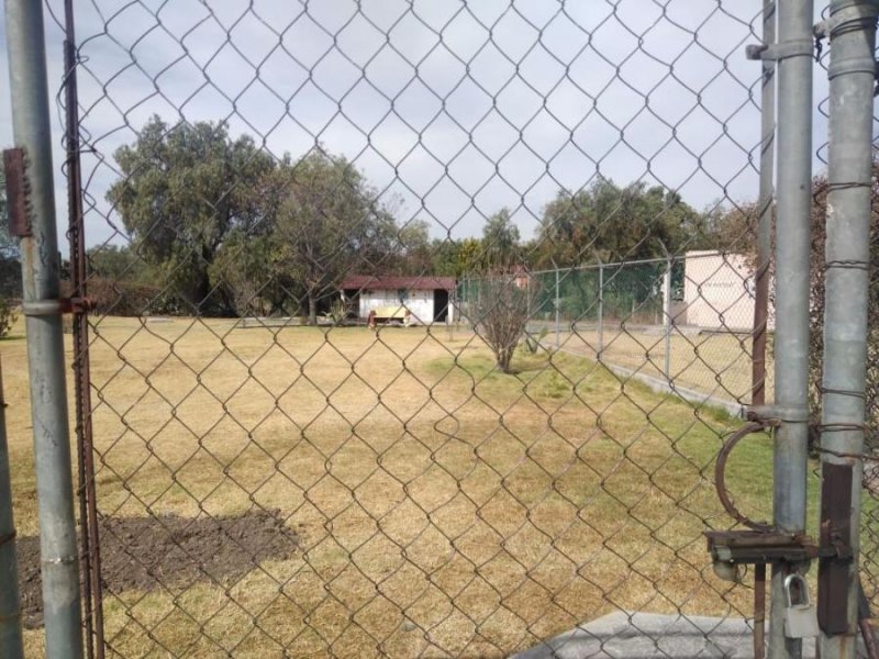 Foto Terreno en Venta en barrio san Vicente, Tepetlaoxtoc de Hidalgo, Mexico - $ 1.700.000 - TEV270335 - BienesOnLine