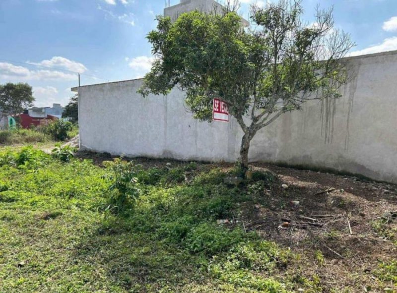 Terreno en Venta en  Fortín de las Flores, Veracruz