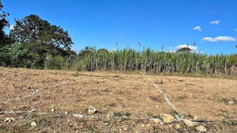 Terreno en Venta en LAS FLORES AMATLAN DE LOS REYES, Veracruz