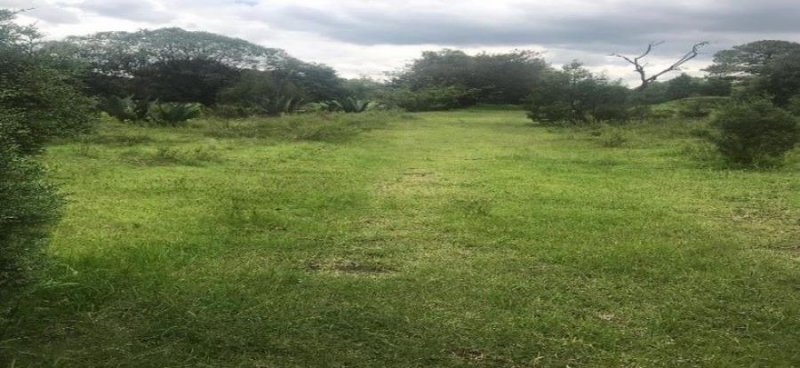 Foto Terreno en Renta por Temporada en Belén Atzitzimititlan, Apetatitlán, Tlaxcala - $ 136.068.000 - TE269925 - BienesOnLine