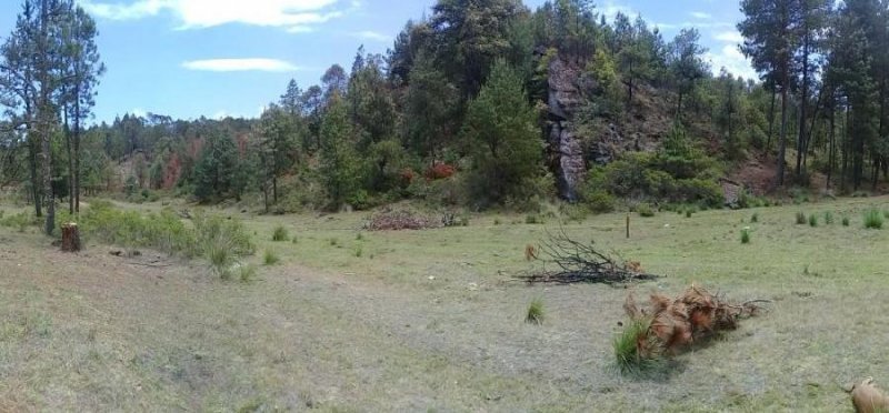 Terreno en Venta en  Camotepec, Puebla