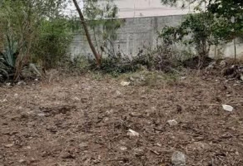 Foto Terreno en Venta en CHUBURNA, Mérida, Yucatan - $ 755.000 - TEV282524 - BienesOnLine