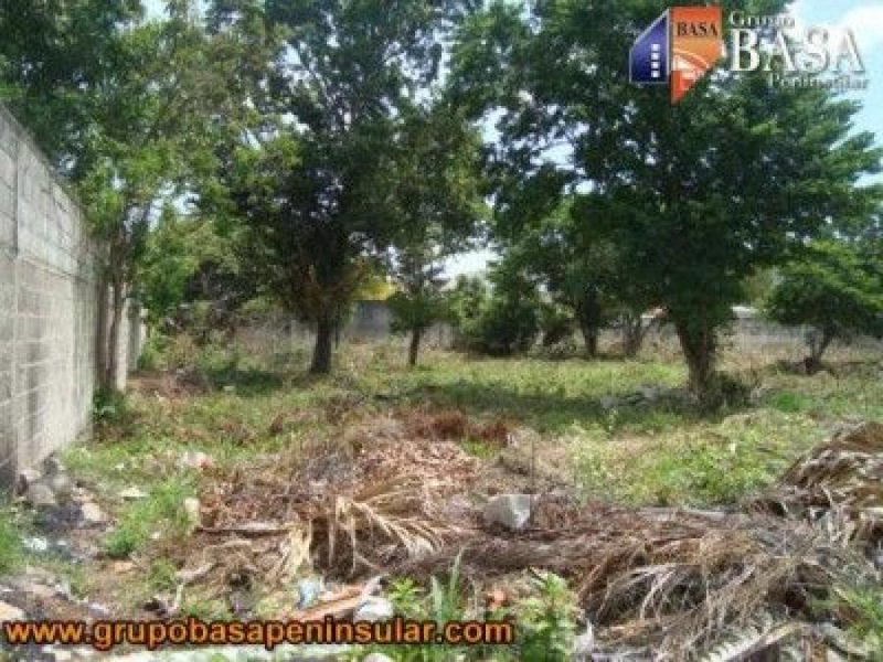 Foto Terreno en Venta en CHUBURNA, Mérida, Yucatan - $ 240.000 - TEV283040 - BienesOnLine