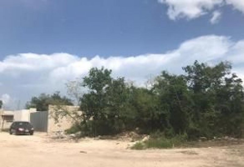 Foto Terreno en Venta en LAS AMERICAS, Mérida, Yucatan - $ 228.000 - TEV283141 - BienesOnLine