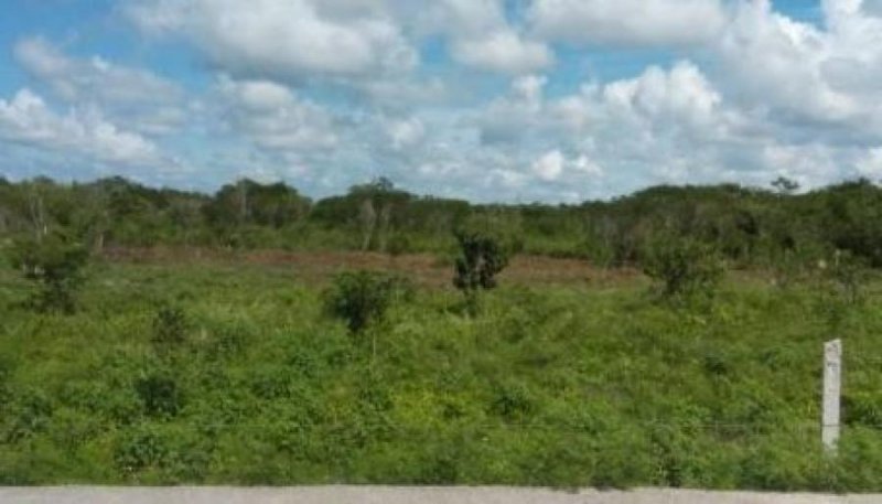 Foto Terreno en Venta en MAXCANU, Maxcanú, Yucatan - $ 74.750 - TEV277624 - BienesOnLine