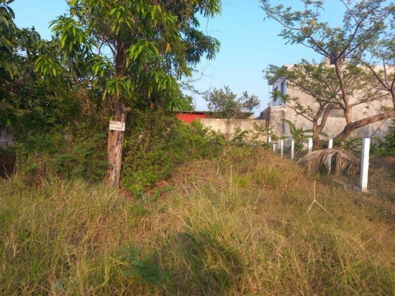 Terreno en Venta en  Presidio, Veracruz