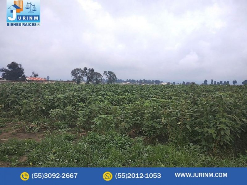 Terreno en Venta en OZUMBA Ozumba de Alzate, Mexico