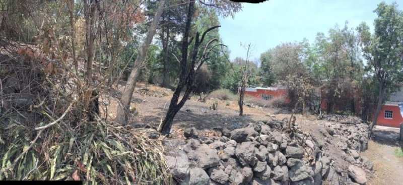 Foto Terreno en Venta en La Purificación, Texcoco de Mora, Mexico - $ 884.800 - TEV252036 - BienesOnLine