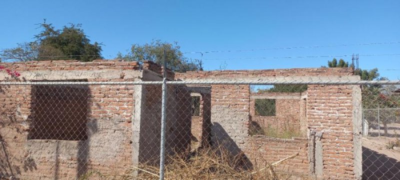 Terreno en Venta en tierra blanca Navojoa, Sonora